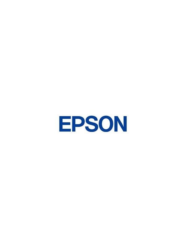 Ultrachrome Ds Flourescent Yellow T46d640 1l fra Epson