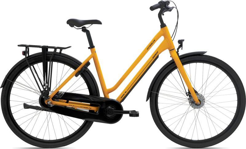 Attend Cs 3 Dame 2024   Gul fra Giant