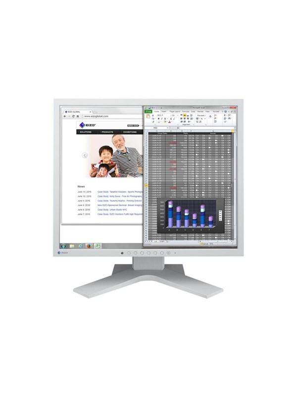 19"   Flexscan S1934h   1280x1024 (sxga)   Led fra Eizo